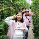 꽃길을 따라서 체험학습장 이미지