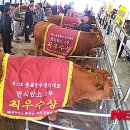 한우인쇄 이미지