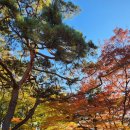 유미사 이미지
