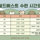 월드베스트 태권도 2관 이미지