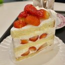 필승체육사 | <광주, 농성동> 부부더상록: 알 사람들은 다 아는 소금빵 & 케이크 맛집!! 소금빵 주문 꿀팁