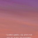오늘하루