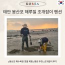 태안팜랜드 | 태안 해루질 펜션 &amp; 장비 후기 해루질 뜻, 몽산포 물때 보는 법 물때표