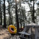 동해대로1 이미지