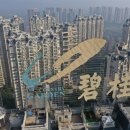 신용가든 이미지