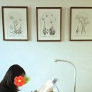 꽃그림 색연필화(보타니컬 아트) | 동탄보태니컬아트 전문화실 여울공원 색연필화 수채화