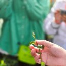 홍우농장 이미지