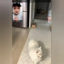 알렉스 이미지