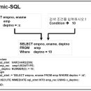 [Oracle PL-SQL예제] Dynamic-SQL 이미지