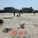 자매다방 | 제주 해녀스냅 두돌아기 후기 / 난산리다방 브런치 인생브런치!