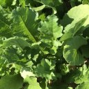 김재연농장 이미지