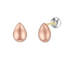 클라비스 이미지