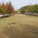 한양목장 이미지