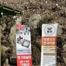 원터가든웅촌