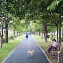 오학 걷고싶은거리 이미지