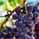 국립농산물품질관리원 영월 이미지