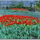 해여림식물원 이미지