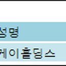 (주)케이에이씨티 전자신문