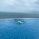 베이비멍 | 다낭 베이비시터 미케비치 핑크베이비 이용해본 후기