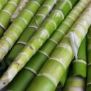 정안한의원 이미지