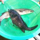 수산물직판장(7호) 이미지