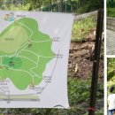 월평7호 이미지