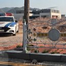 임실초등학교 이미지