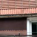 신성기업공사 이미지