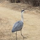 경기도 문화의 날 [문화공감시대] part2 전통예술이야기 | 봉선사ㆍ남양주 봉선사 겨울표정ㆍ광릉과 함께한 봉선사 나들이ㆍ겨울 끝자락, 봉선사에 머물다