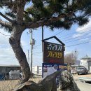 쥬라기카라반 | [인천 강화] 강화도 가성비 카라반 추천 쥬라기카라반 내돈내산 솔직후기