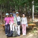 크린데이 이미지