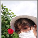 오월의여왕 Daum카페
