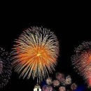 포항 불빛 축제 이미지