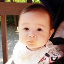 펜션리오 이미지