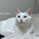 878기 2대대 060206 최용석 이미지