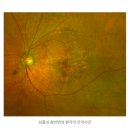 눈NOON안과의원 이미지