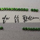 카펠루스 이미지