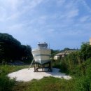 표선리-12 이미지