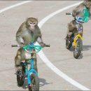 9월 30일 토요일 뉴우수~ 이미지