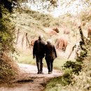 동국행정사 이미지