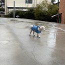 302 미노 이미지