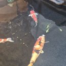 율하5로48 이미지