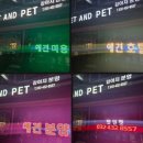 펫앤펫 인천점 강아지분양의 모든것 | 학익동 강아지분양 예쁘고 동그란 얼굴이 매력인 비숑을 찾으신다면 펫앤펫으로~!