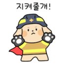 늘푸른안경원 이미지