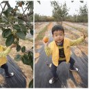 청통농장 이미지