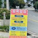 함목밥집 | [경남-거제도] 바람의 언덕근처, 솔직히 혼자만 알고 싶은 맛집 "함목밥집" (feat. 현지인 추천)
