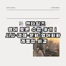 중급 영어회화: 시사에서 토론까지 | 동문동 영어회화 앤타임즈 영어 토론 수업 후기 시사 경제 문화 영어회화 레벨 업 비결