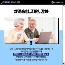 누리꽃서비스