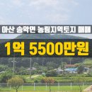 소이공인중개사사무소 이미지