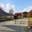 정천~주천 단풍나무길 | 단 하루 진안에 온다면. 진안 원주민들의 가을 드라이브 코스 어때요?